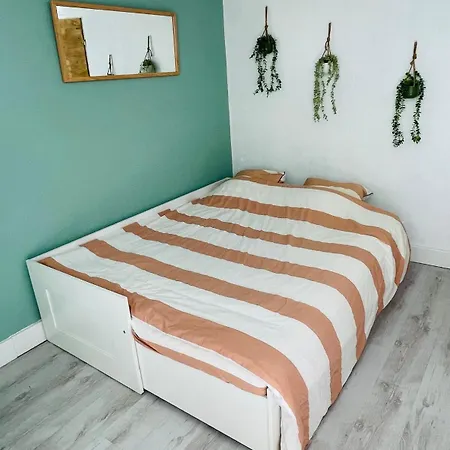 Rez De Jardin Appartement