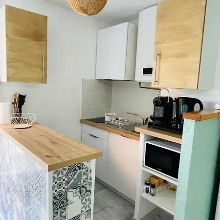 Appartement Rez De Jardin Agde